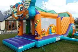Bugs Obstacle Course Hire Carrigaline